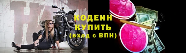 гидра Белокуриха