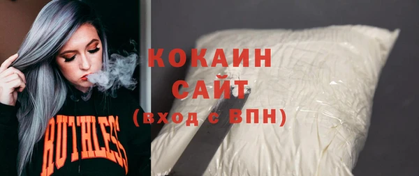 гидра Белокуриха