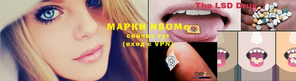 гидра Белокуриха