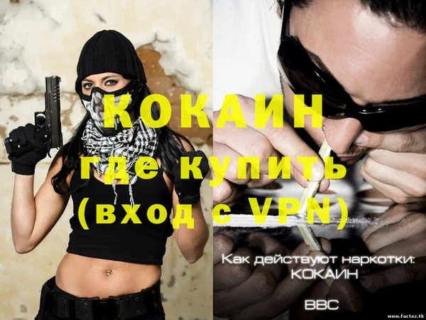 гидра Белокуриха