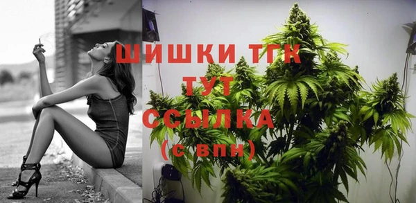 гидра Белокуриха