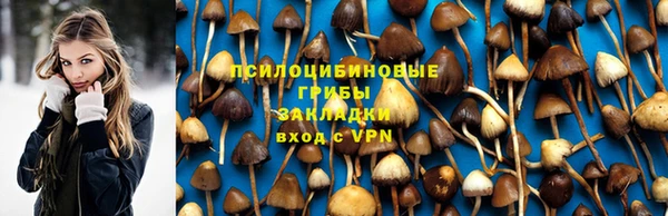 гидра Белокуриха