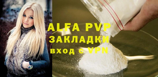 гидра Белокуриха
